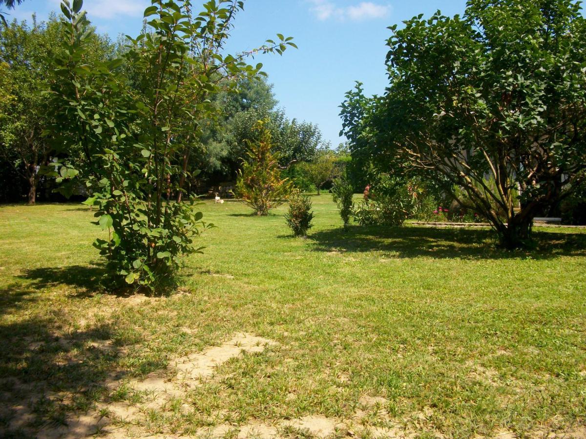 Domaine De Monein Bed & Breakfast Saint-André-de-Cubzac Exterior foto