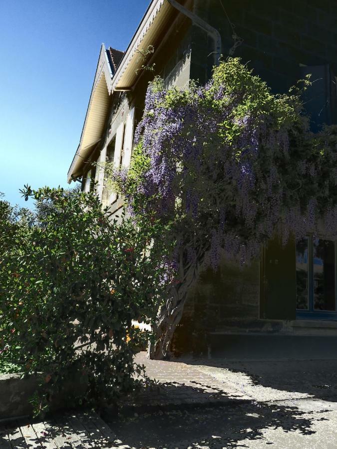 Domaine De Monein Bed & Breakfast Saint-André-de-Cubzac Exterior foto